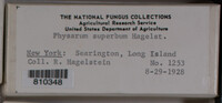 Image Associated With the Occurence
